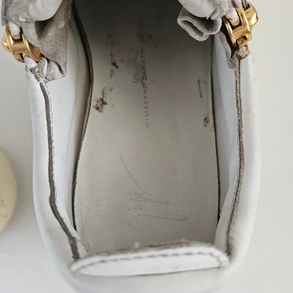 giuseppe zanotti
